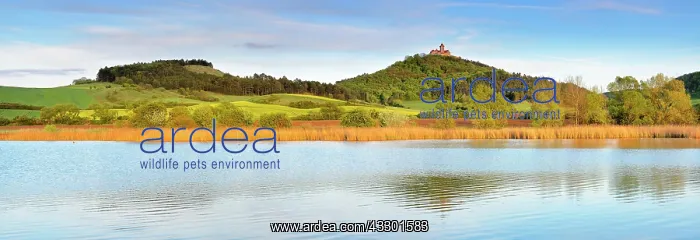 : Landscape with lake, at the back Wachsenburg Castle : Landscape with lake, at the back Wachsenburg Castle