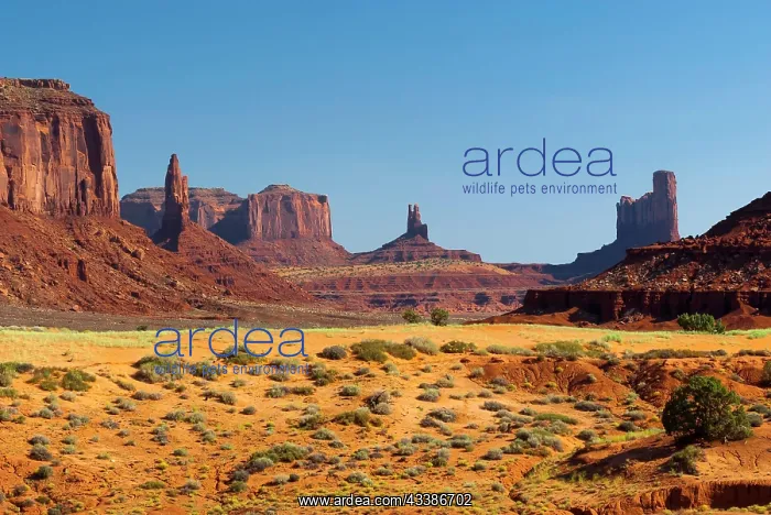 : Landscape in Monument valley, Utah, USA, North America : Landscape in Monument valley, Utah, USA, North America