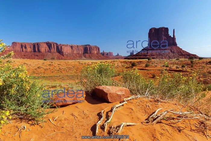 : Landscape in Monument valley, Utah, USA, North America : Landscape in Monument valley, Utah, USA, North America