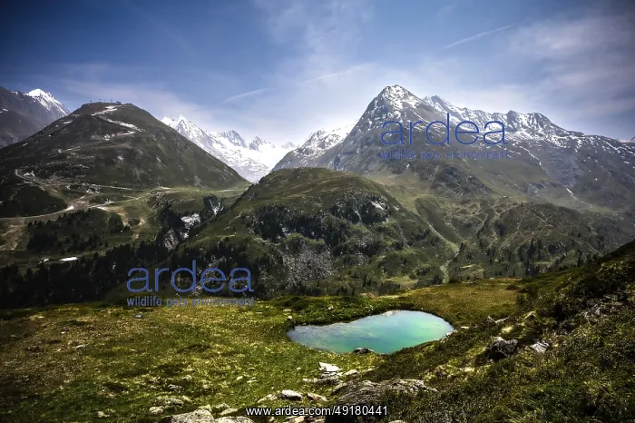  : Landscape with a mountain lake and snow-capped peaks