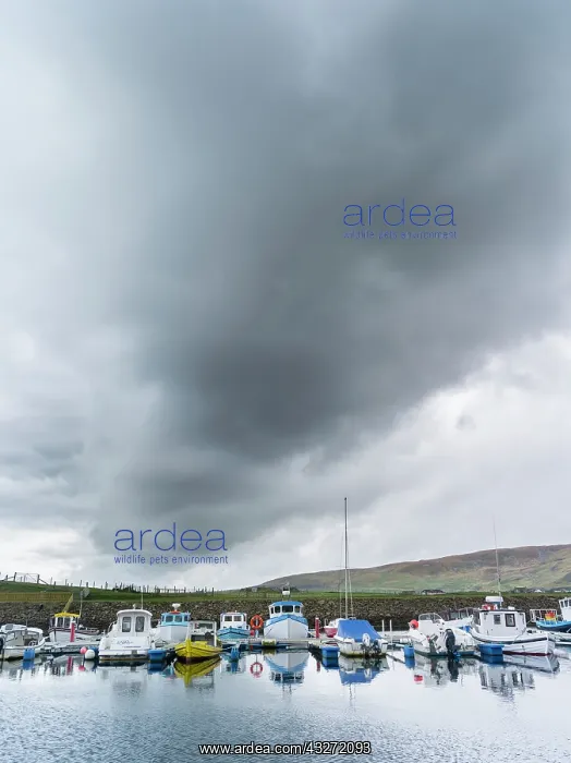 : Landscape near Aith Voe during storm and : Landscape near Aith Voe during storm and