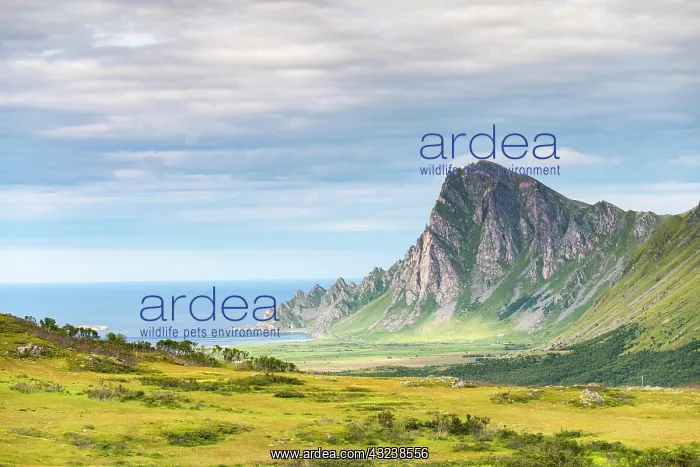 : Landscape near Bleik, Andoya Island, Vester len : Landscape near Bleik, Andoya Island, Vester len