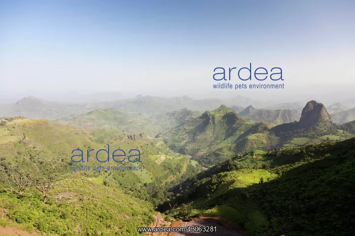 : Landscape north of Gondar, Ethiopia : Landscape north of Gondar, Ethiopia