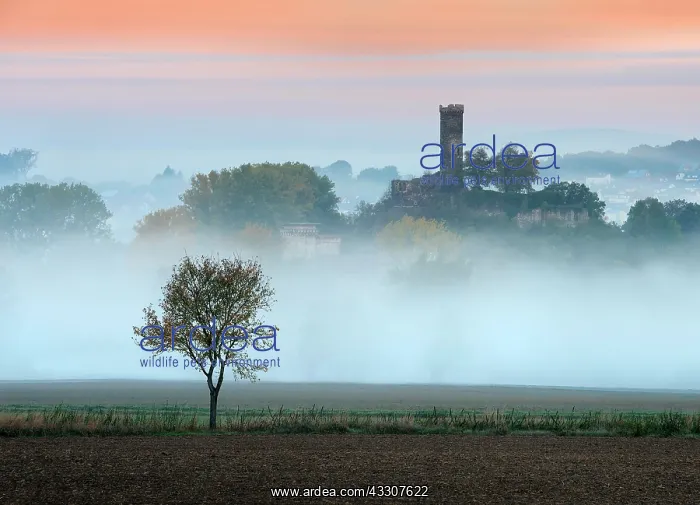 : Landscape in North Hesse, morning fog and dawn red : Landscape in North Hesse, morning fog and dawn red