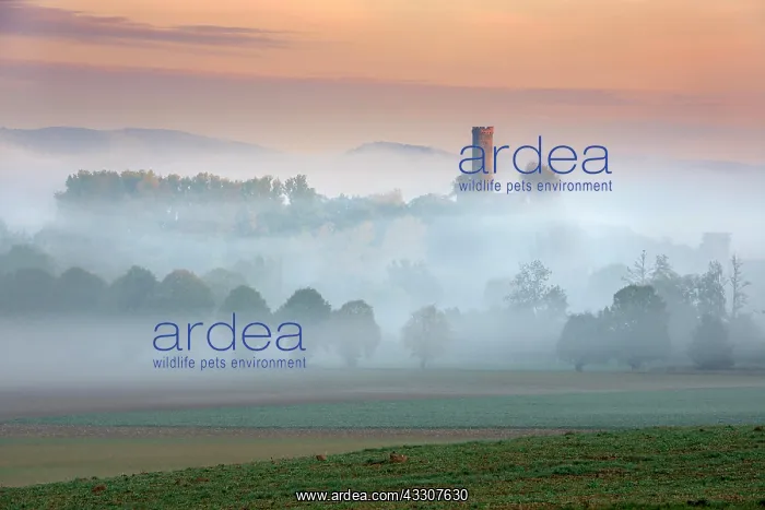 : Landscape in North Hesse, morning fog and dawn red : Landscape in North Hesse, morning fog and dawn red