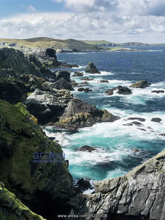 : Landscape in North Roe, the stormy peninsula : Landscape in North Roe, the stormy peninsula