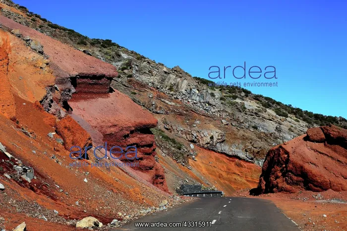 : Landscape at the pass road to Roque de los Moschaschos : Landscape at the pass road to Roque de los Moschaschos
