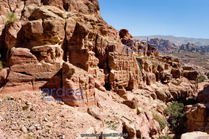 : Landscape from the path to the Monastery : Landscape from the path to the Monastery