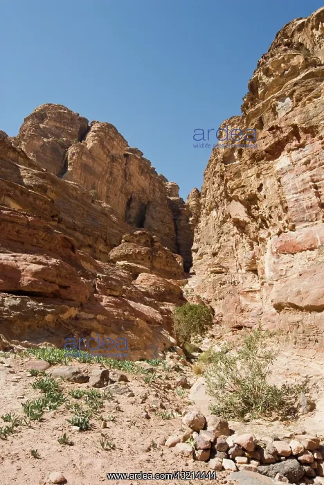 : Landscape from the path to the Monastry : Landscape from the path to the Monastry