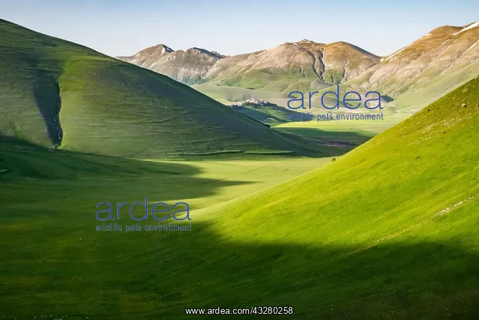 : Landscape, Piano Grande, Castelluccio, Norcia, Monti : Landscape, Piano Grande, Castelluccio, Norcia, Monti