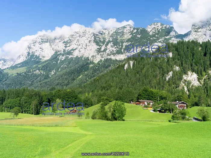  : Landscape in the region Berchtesgadener
