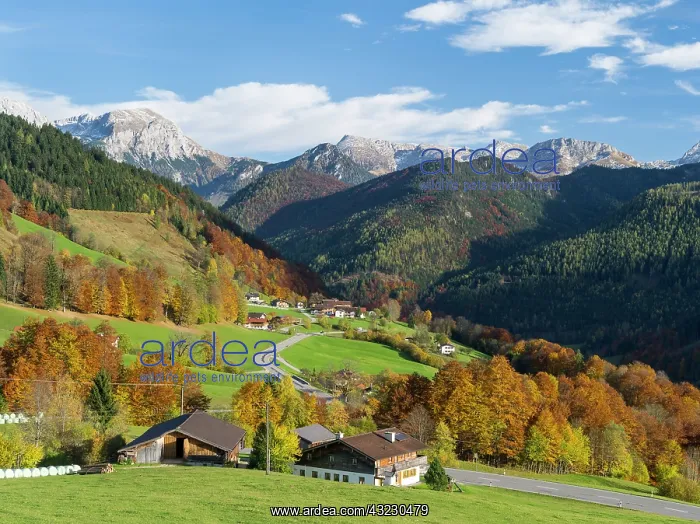  : Landscape in the region Berchtesgadener