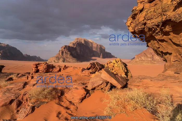 : Landscape with rocks in the desert Wadi Rum, Jordan : Landscape with rocks in the desert Wadi Rum, Jordan