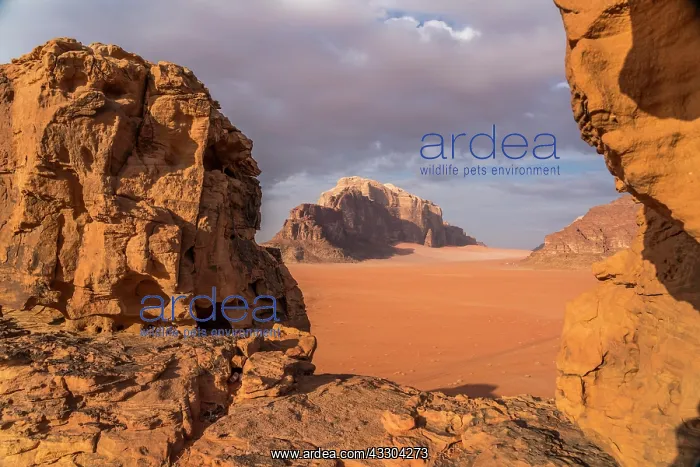 : Landscape with rocks in the desert Wadi Rum, Jordan : Landscape with rocks in the desert Wadi Rum, Jordan