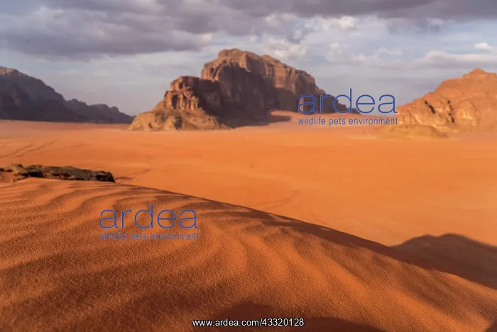 : Landscape with rocks in the desert Wadi Rum, Jordan : Landscape with rocks in the desert Wadi Rum, Jordan