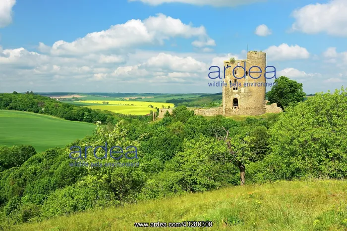 : Landscape with ruin of Arnstein Castle, Sylda-Harkerode : Landscape with ruin of Arnstein Castle, Sylda-Harkerode
