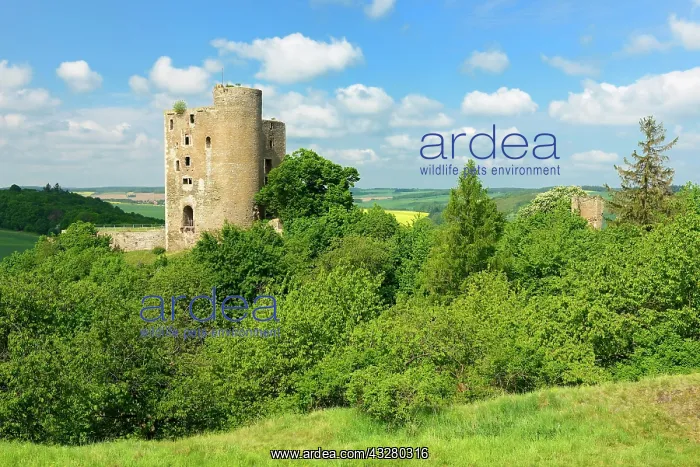 : Landscape with ruin of Arnstein Castle, Sylda-Harkerode : Landscape with ruin of Arnstein Castle, Sylda-Harkerode