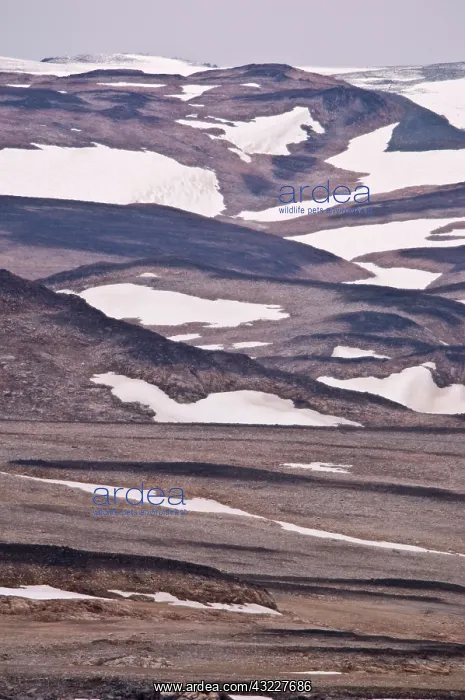 : Landscape Scoresby sound East Coast of Greenland : Landscape Scoresby sound East Coast of Greenland