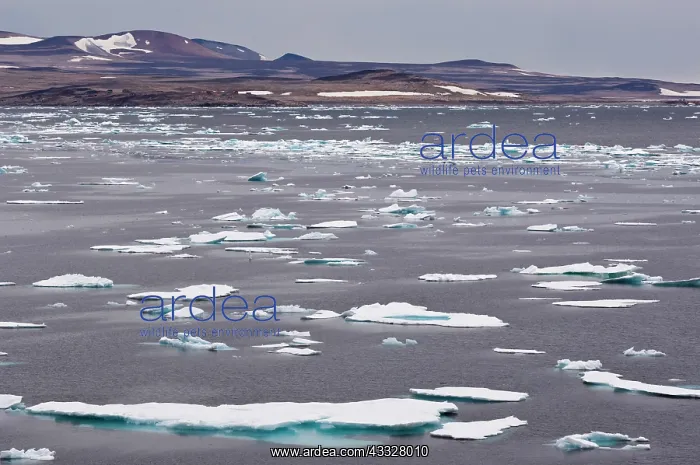 : Landscape, Scoresby sound, Greenland : Landscape, Scoresby sound, Greenland