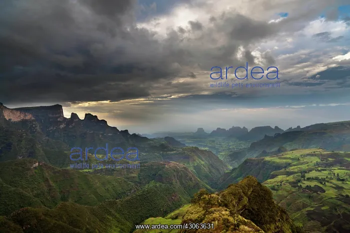 : Landscape in the Semien Mountains National : Landscape in the Semien Mountains National