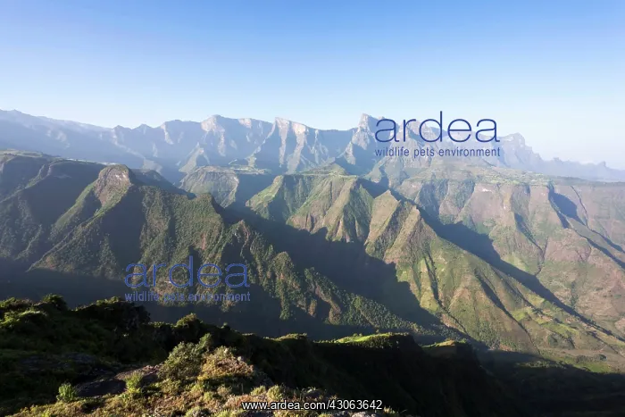 : Landscape in the Semien Mountains National : Landscape in the Semien Mountains National