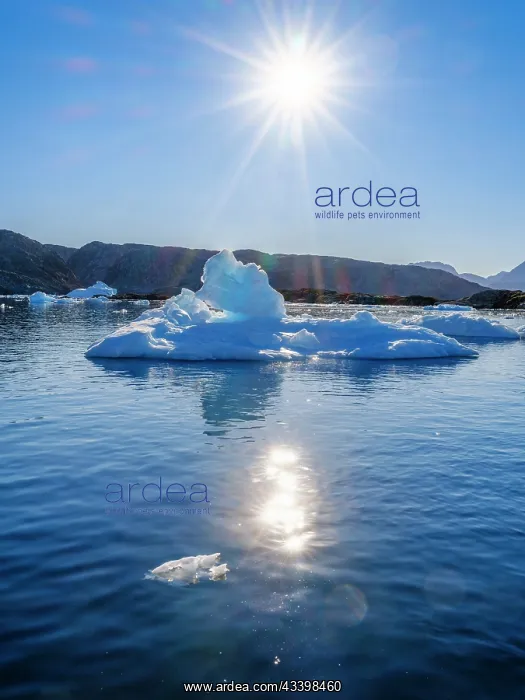 : Landscape at the Sermilik (Sermiligaaq) Icefjord : Landscape at the Sermilik (Sermiligaaq) Icefjord