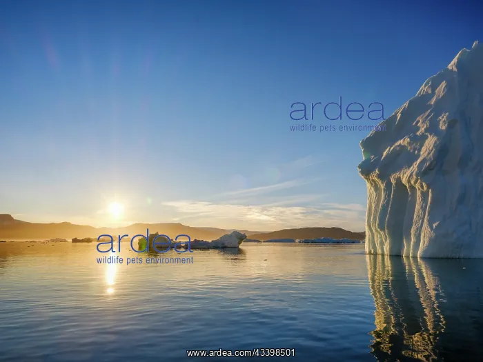 : Landscape at the Sermilik (Sermiligaaq) Icefjord : Landscape at the Sermilik (Sermiligaaq) Icefjord