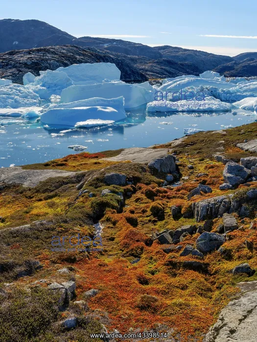 : Landscape at the Sermilik (Sermiligaaq) Icefjord : Landscape at the Sermilik (Sermiligaaq) Icefjord