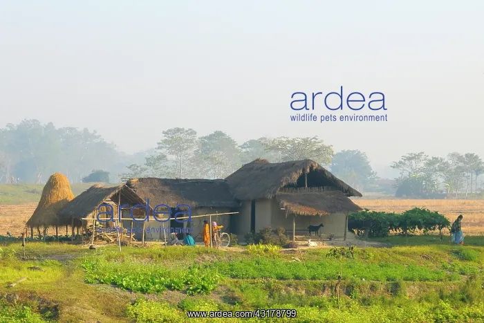 : Landscape showing small-scale farming on the Indian countrys : Landscape showing small-scale farming on the Indian countrys