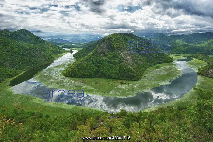 : Landscape of Skadar Lake : Landscape of Skadar Lake