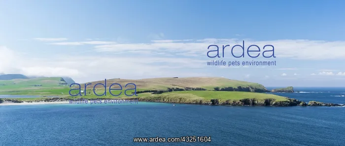 : Landscape on South Mainland of the Shetland : Landscape on South Mainland of the Shetland
