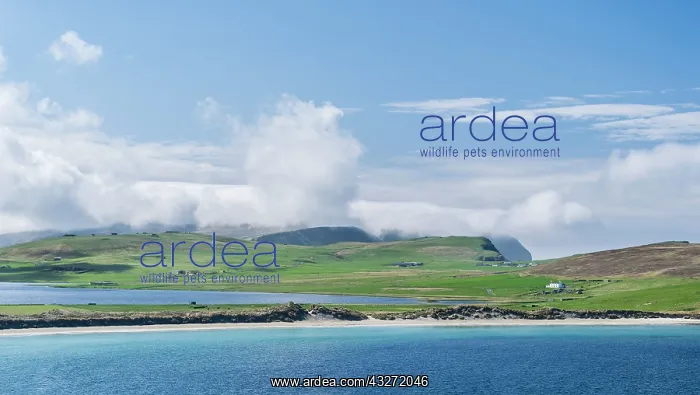 : Landscape on South Mainland of the Shetland : Landscape on South Mainland of the Shetland