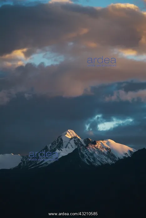 : Landscape of Stok mountain range, Ladakh : Landscape of Stok mountain range, Ladakh