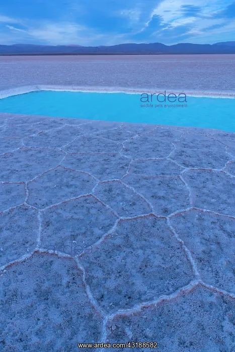 : Landscape at sunset in Salinas Grandes in the province : Landscape at sunset in Salinas Grandes in the province