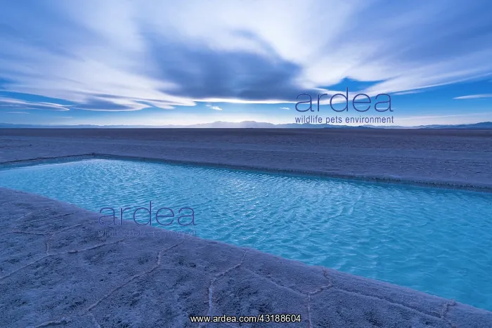 : Landscape at sunset in Salinas Grandes in the province : Landscape at sunset in Salinas Grandes in the province