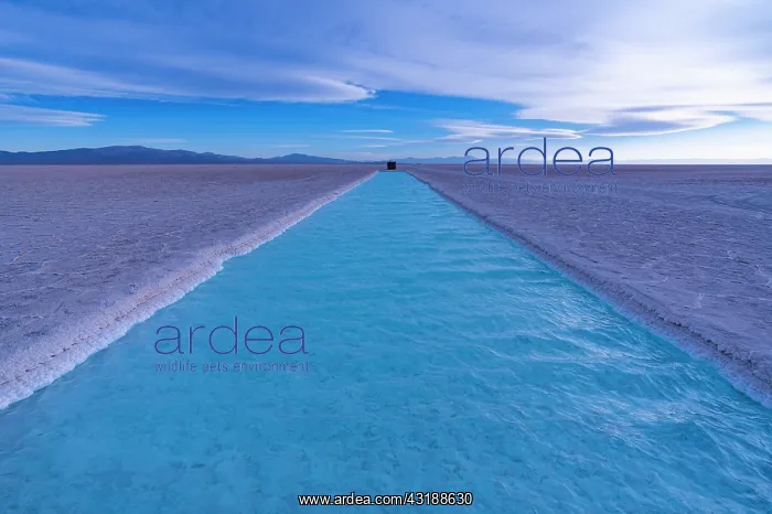 : Landscape at sunset in Salinas Grandes in the province : Landscape at sunset in Salinas Grandes in the province