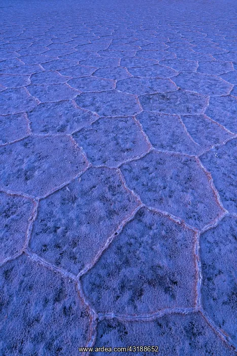 : Landscape at sunset in Salinas Grandes in the province : Landscape at sunset in Salinas Grandes in the province