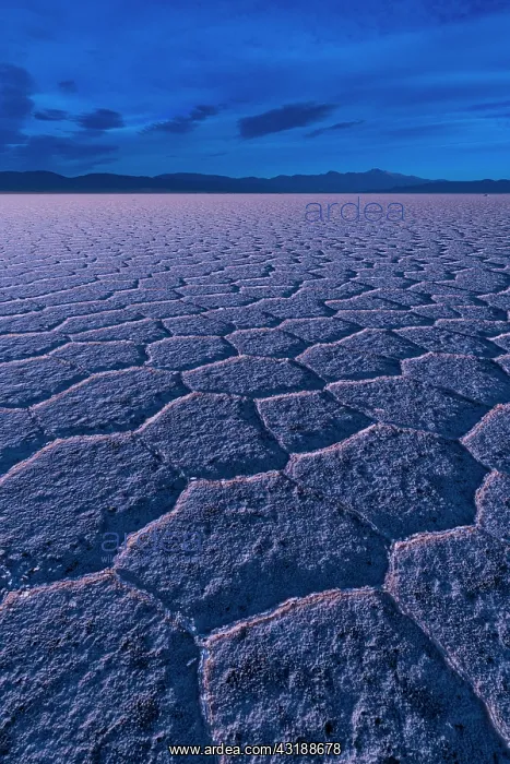 : Landscape at sunset in Salinas Grandes in the province : Landscape at sunset in Salinas Grandes in the province