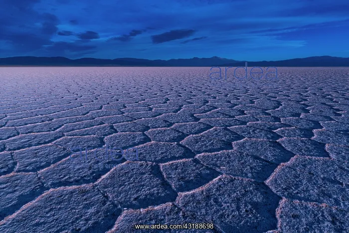: Landscape at sunset in Salinas Grandes in the province : Landscape at sunset in Salinas Grandes in the province