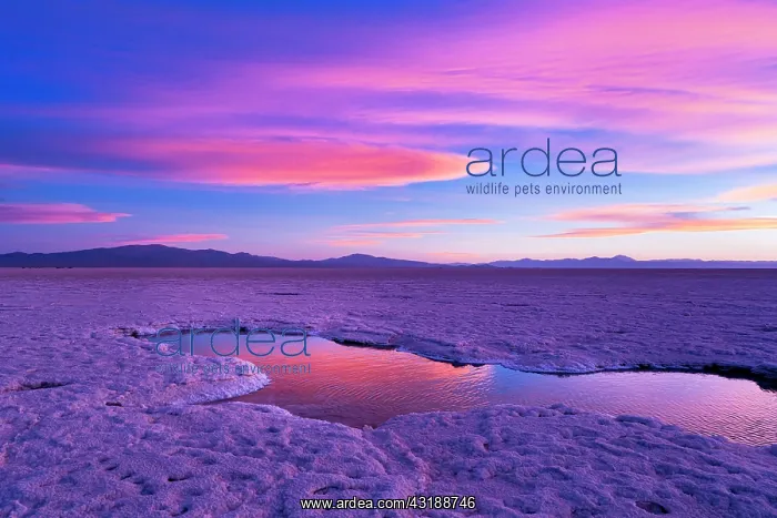 : Landscape at sunset in Salinas Grandes in the province : Landscape at sunset in Salinas Grandes in the province