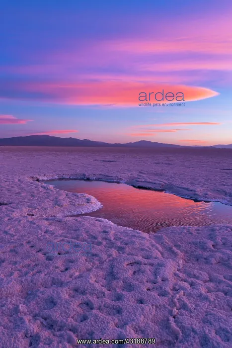 : Landscape at sunset in Salinas Grandes in the province : Landscape at sunset in Salinas Grandes in the province