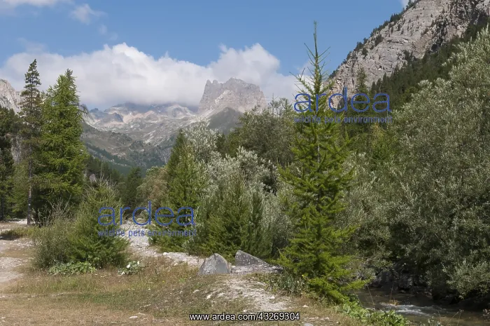 : Landscape from Valle stretta (Valltroite) : Landscape from Valle stretta (Valltroite)