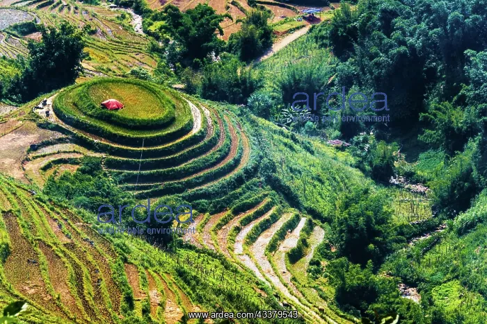  : Landscape view of Sapa Valley in Lao Cai Province