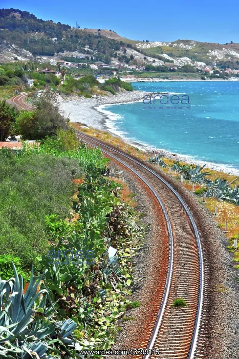 : Landscape view of the southern coast of Calabria : Landscape view of the southern coast of Calabria
