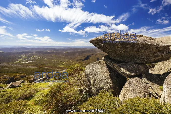 : Landscape views at the summit of Porcupine Rocks on the Porcupine Walking Track on a summer's day in Kosciuszko : Landscape views at the summit of Porcupine Rocks on the Porcupine Walking Track on a summer's day in Kosciuszko