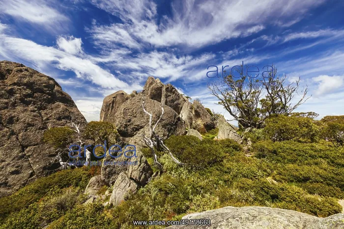 : Landscape views at the summit of Porcupine Rocks on the Porcupine Walking Track on a summer's day in Kosciuszko : Landscape views at the summit of Porcupine Rocks on the Porcupine Walking Track on a summer's day in Kosciuszko