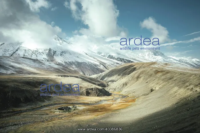 : Landscape in the Wakhan Corridor, a few kilometres : Landscape in the Wakhan Corridor, a few kilometres