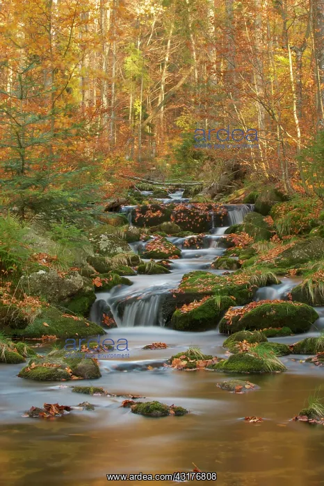 : Landscape water autumn : Landscape water autumn