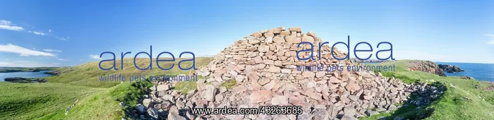 : Landscape on West Shetland. The Broch of : Landscape on West Shetland. The Broch of