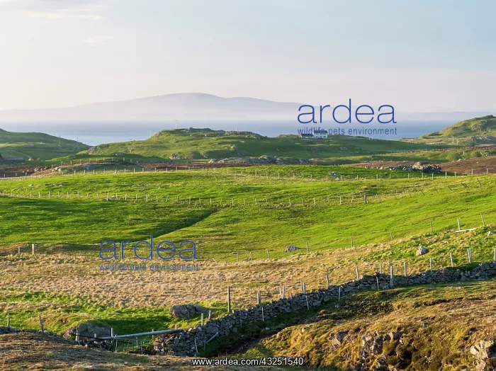 : Landscape on West Shetland. The settlement : Landscape on West Shetland. The settlement
